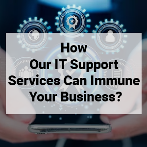 How Our IT Support Services Can Immune Your Business?